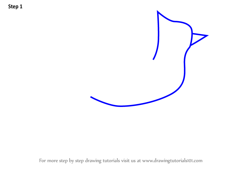 How to Draw a Blue Jay - Easy Drawing Tutorial For Kids