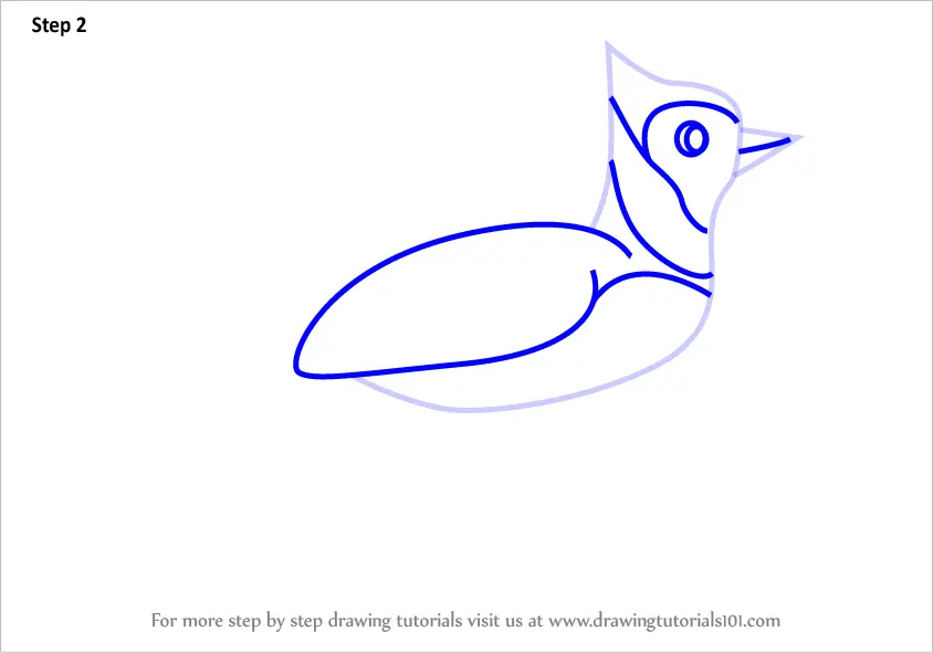 How to Draw a Blue Jay - Easy Drawing Tutorial For Kids
