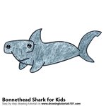 How to Draw a Bonnethead Shark for Kids