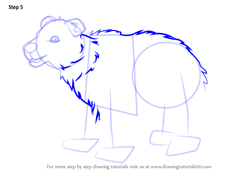 How To Draw A Cartoon Brown Bear Wedrawanimals Com