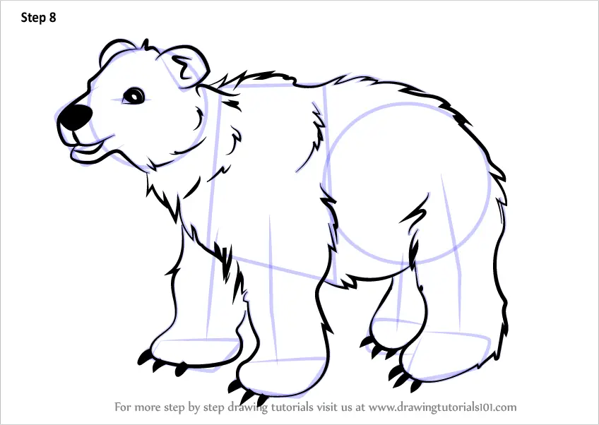 Step by Step How to Draw Brown Bear for Kids