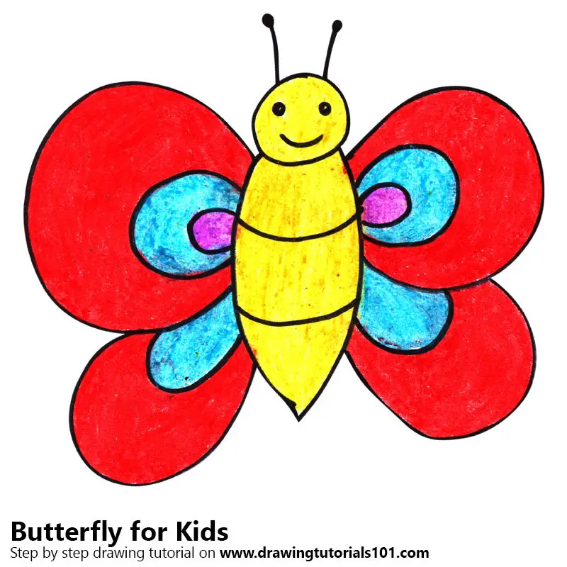 Learn How to Draw a Butterfly for Kids (Animals for Kids) Step by Step