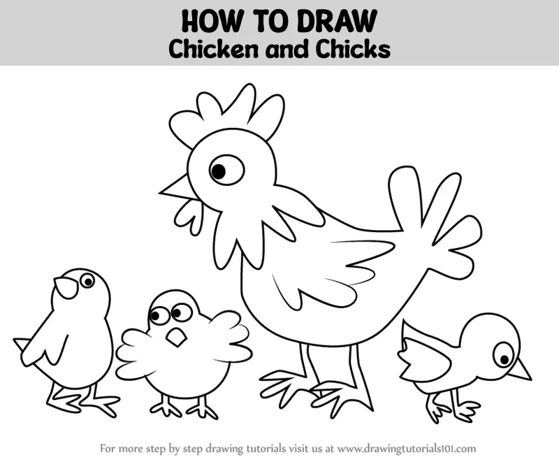 How to Draw Chicken and Chicks (Animals for Kids) Step by Step ...