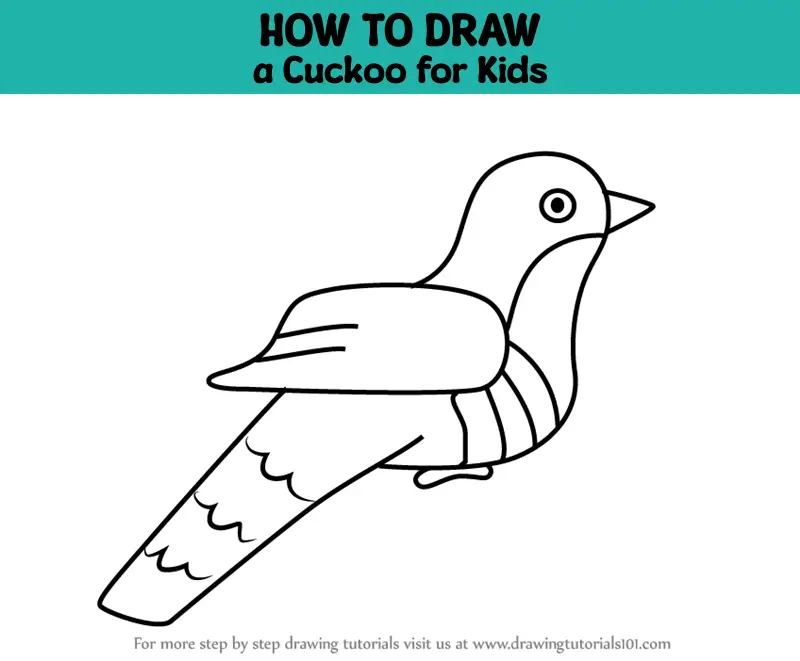 Cuckoo Drawings for Sale - Fine Art America
