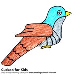 How to Draw a Cuckoo for Kids