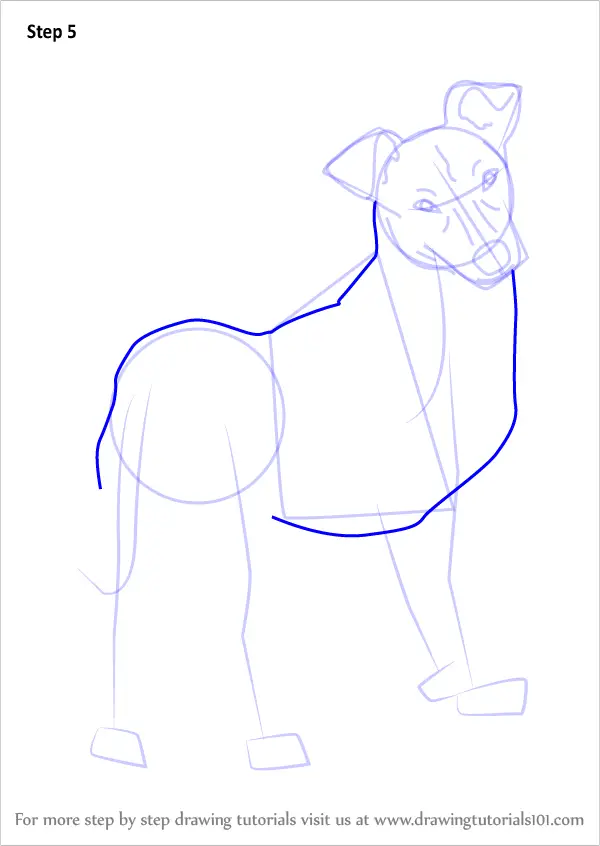 how to draw a cute dog step by step