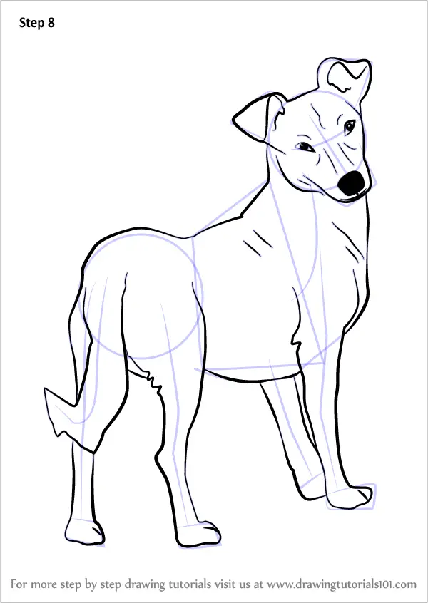 Pictures Of Dogs To Draw For Kids