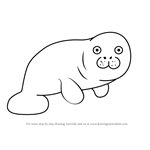 How to Draw a Dugong for Kids