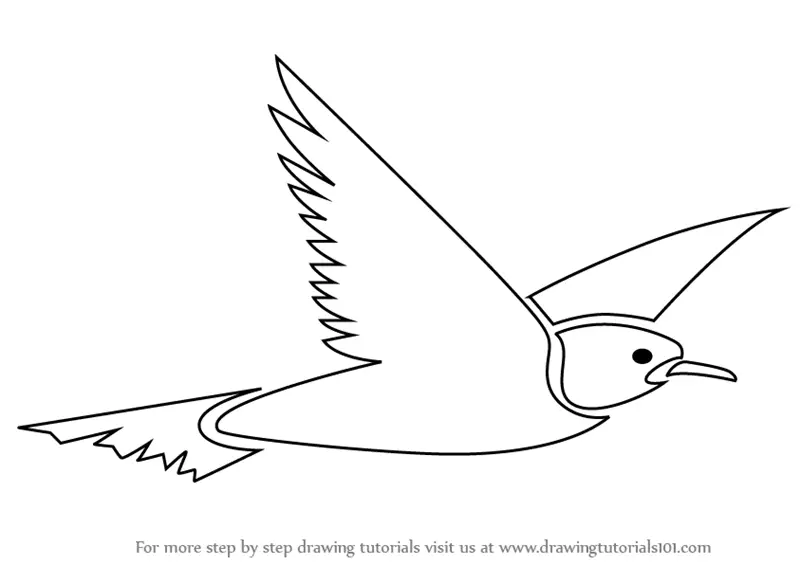 SEO* Beautiful Bird Drawings to Make at Home | Bird drawings, Beautiful  birds, Bird drawing for kids