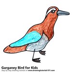 How to Draw a Garganey Bird for Kids