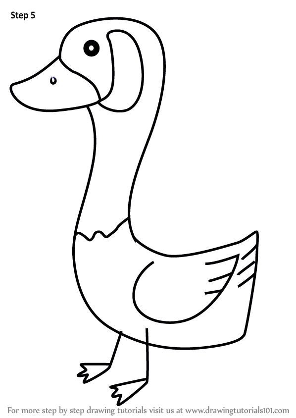 How to Draw a Goose for Kids (Animals for Kids) Step by Step ...