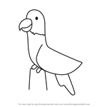 How to Draw a Grey Parrot for Kids