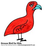 How to Draw a Grouse Bird for Kids