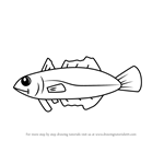 How to Draw a Hake Fish for Kids