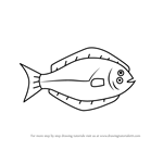 How to Draw a Halibut Fish for Kids