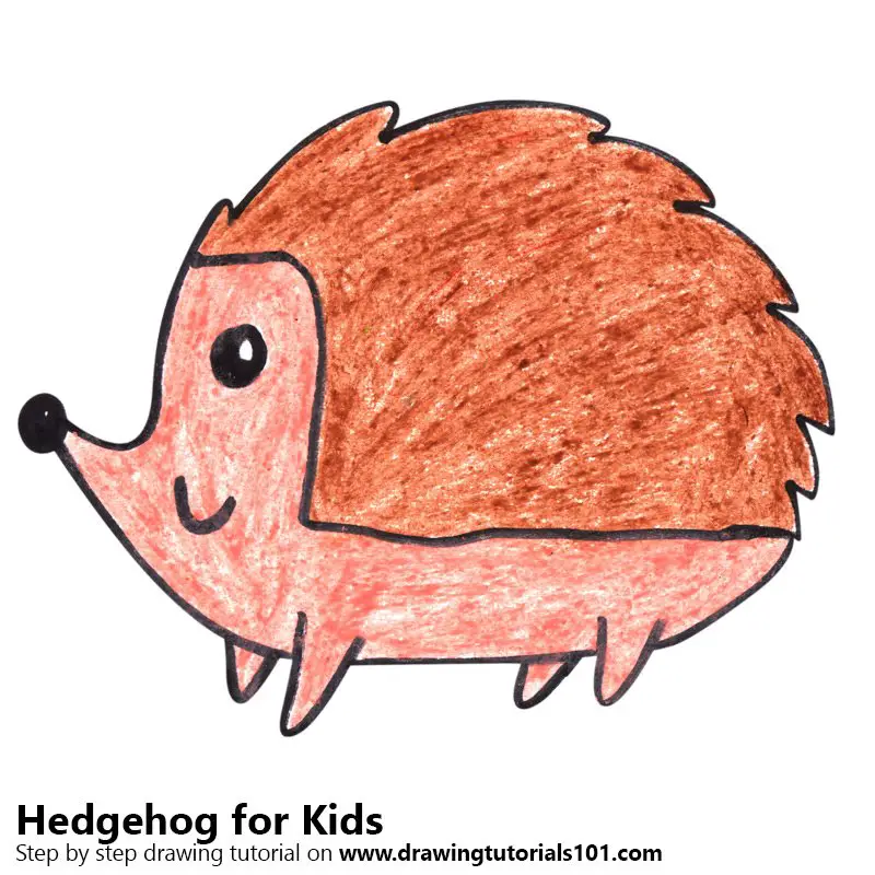 Learn How to Draw a Hedgehog for Kids (Animals for Kids) Step by Step