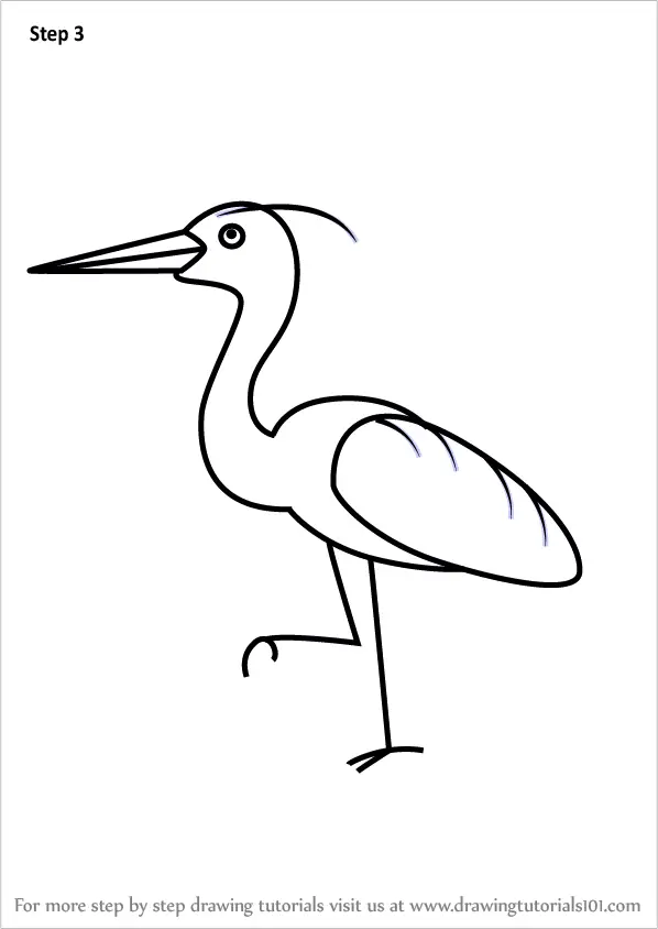 How to Draw a Heron for Kids (Animals for Kids) Step by Step