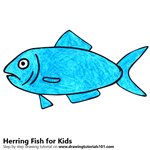 How to Draw a Herring Fish for Kids