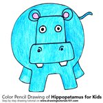 How to Draw a Hippopatamus for Kids