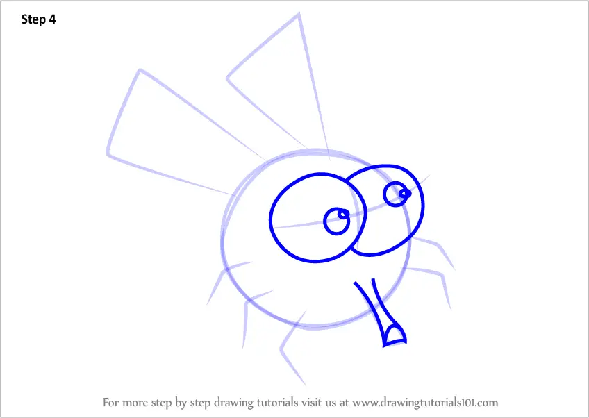 How to Draw House Fly for Kids (Animals for Kids) Step by Step ...