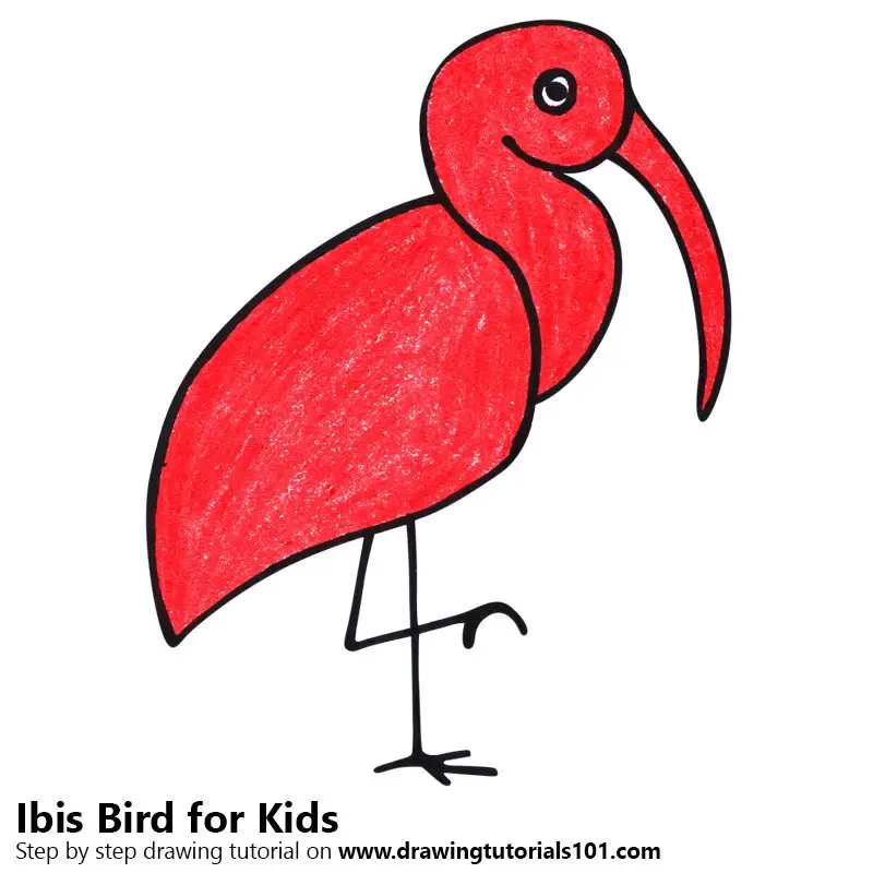 how to draw a simple bird for kids