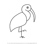 How to Draw a Ibis Bird for Kids