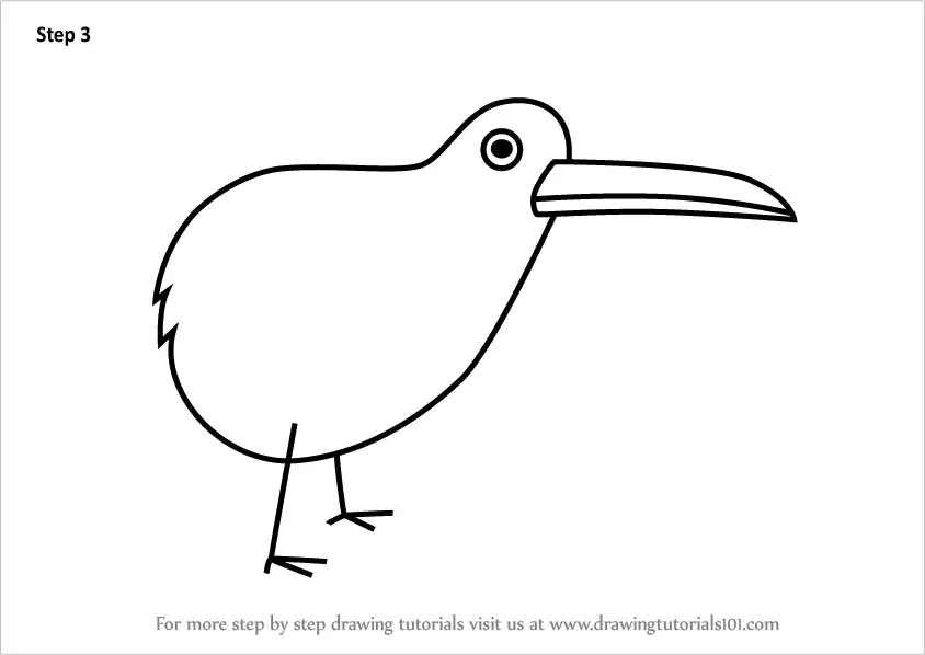Learn How to Draw a Kiwi Bird for Kids (Animals for Kids) Step by Step : Drawing Tutorials
