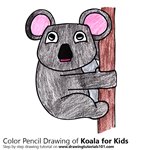 How to Draw a Koala for Kids