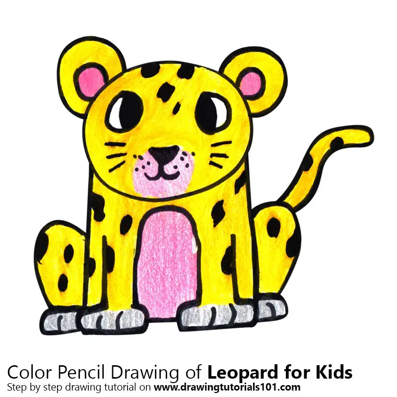 How to Draw a Leopard for Kids (Animals for Kids) Step by Step