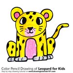 How to Draw a Leopard for Kids