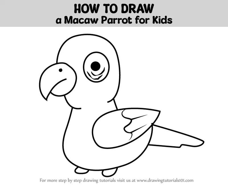 How to Draw a Parrot for Kids, Draw a Parrot, Step by Step - video  Dailymotion