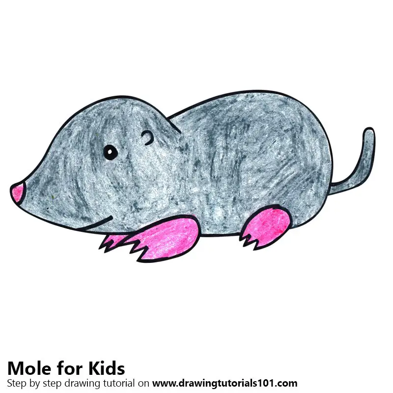 Learn How to Draw a Mole for Kids (Animals for Kids) Step by Step