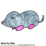 How to Draw a Mole for Kids