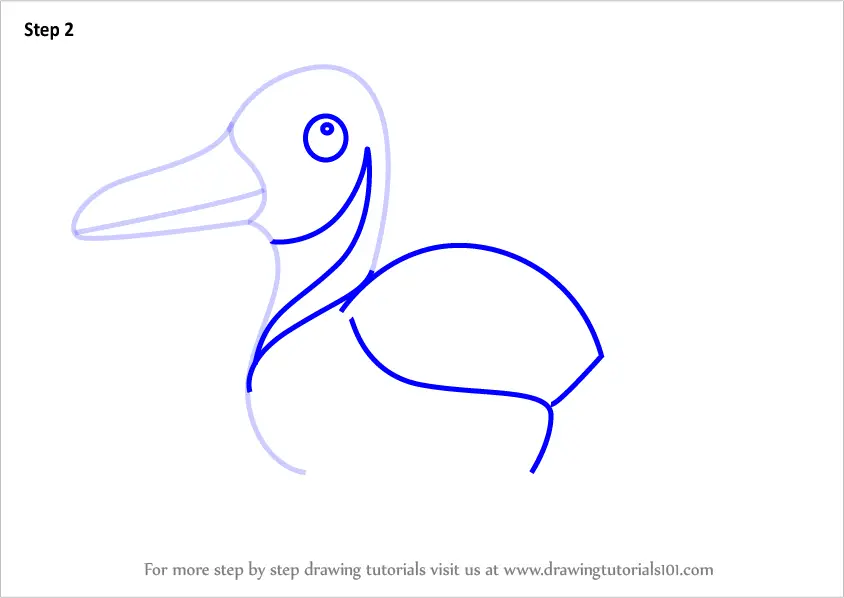 How to Draw a Northern Pintail for Kids (Animals for Kids) Step by Step ...