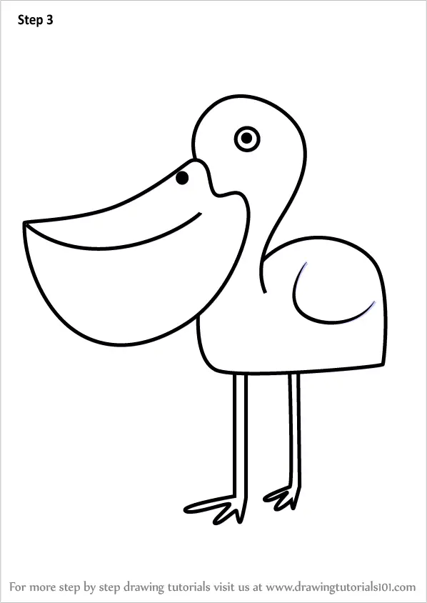 Learn How to Draw a Pelican for Kids (Animals for Kids) Step by Step