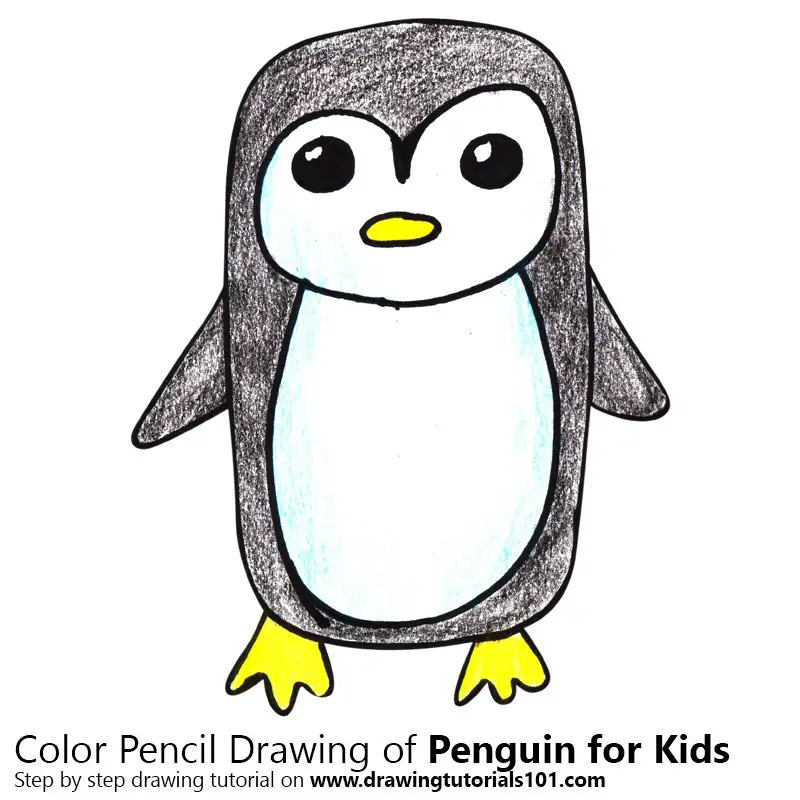 Person Drawing A Penguin Using A Pencil Background, Penguin Picture Drawing  Background Image And Wallpaper for Free Download