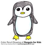 How to Draw a Penguin for Kids Easy