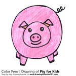 How to Draw a Pig for Kids Easy