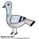 How to Draw a Pigeon for Kids