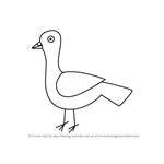 How to Draw a Pigeon for Kids