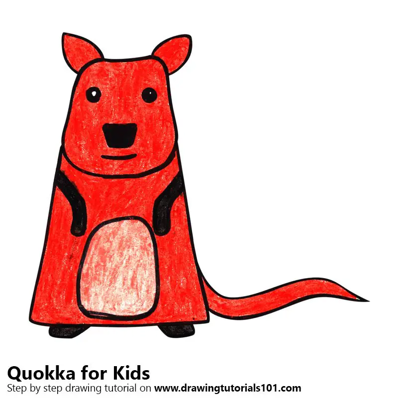 Learn How to Draw a Quokka for Kids (Animals for Kids) Step by Step