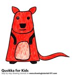 How to Draw a Quokka for Kids