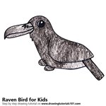 How to Draw a Raven Bird for Kids