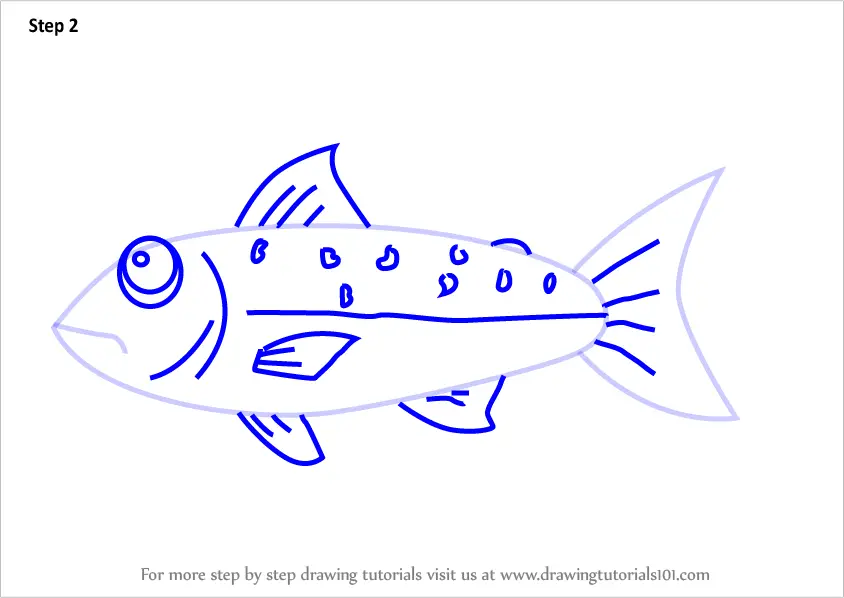 How to Draw a Salmon Fish for Kids (Animals for Kids) Step by Step ...