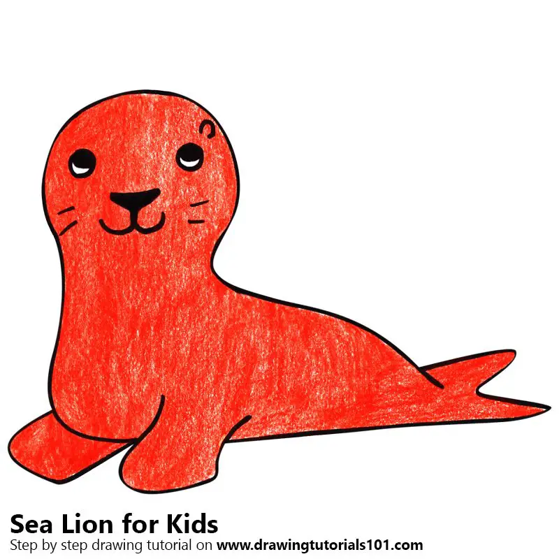 Sea Lion for Kids Color Pencil Drawing
