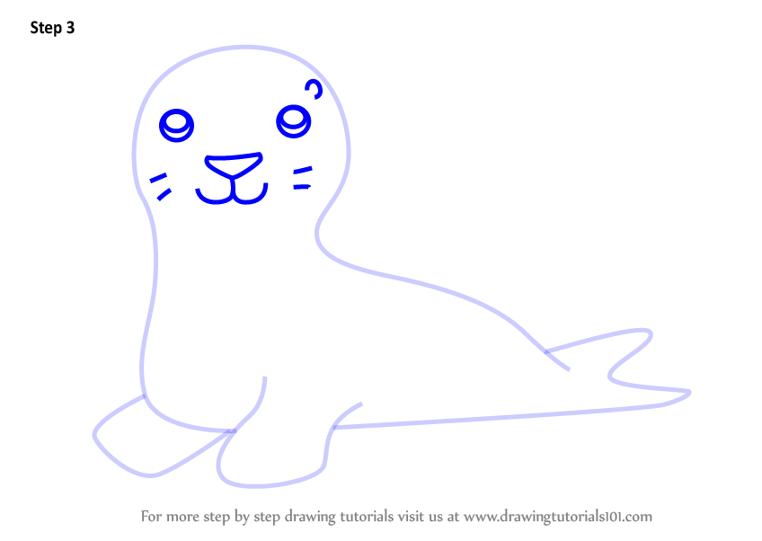 How To Draw A Sea Lion Step By Step Drawing Tutorials - vrogue.co