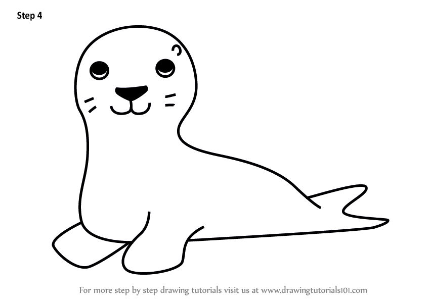 Learn How to Draw a Sea Lion for Kids Animals for Kids