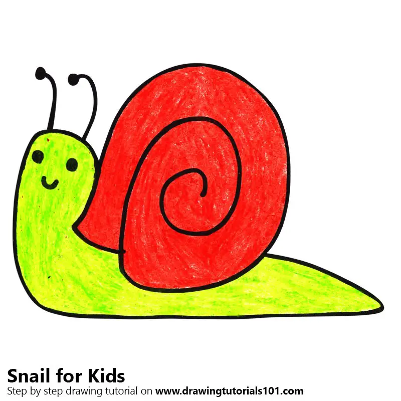 How To Draw A Snail Step By Step For Kids