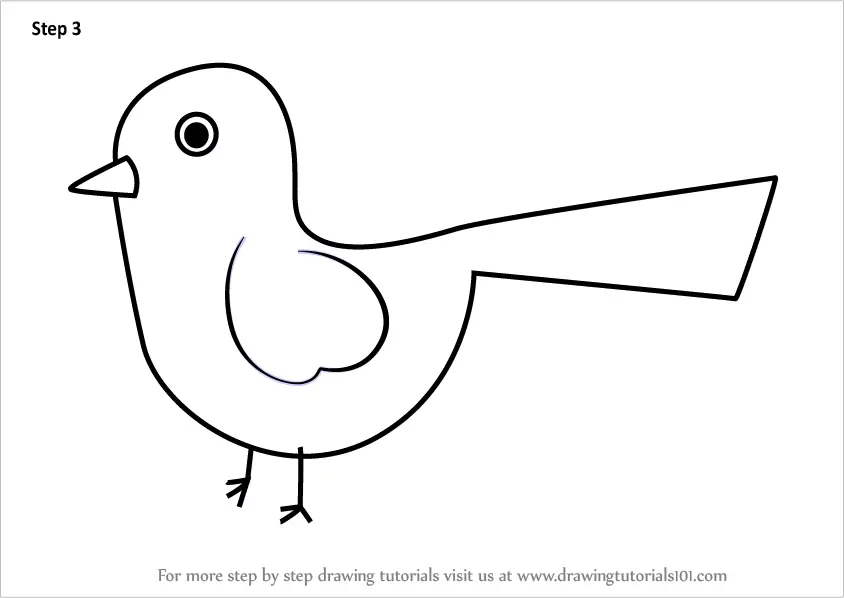 How to Draw a Song Bird for Kids (Animals for Kids) Step by Step ...