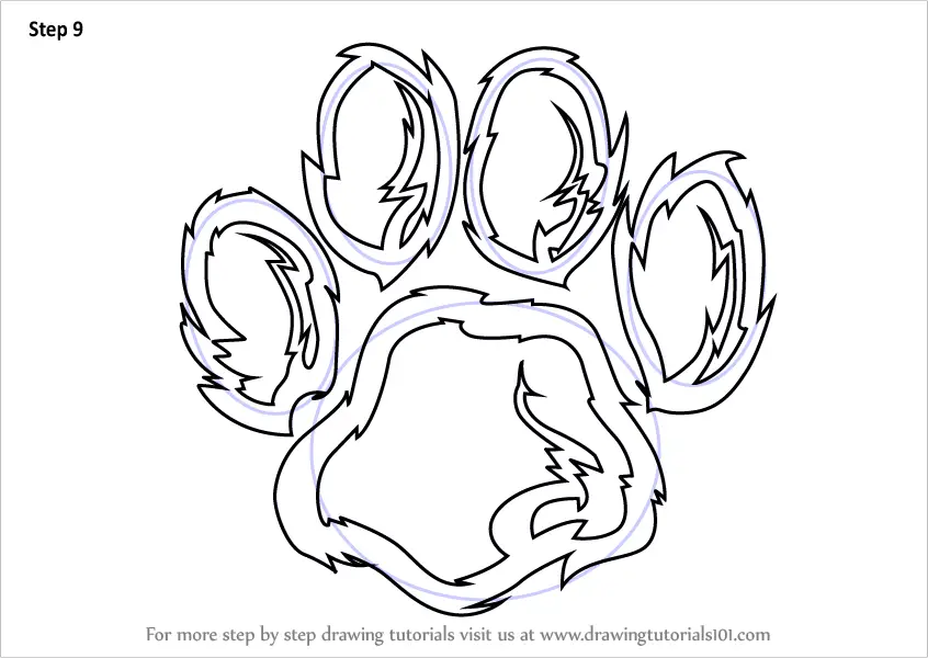 How to Draw a Tiger Paw (Animals for Kids) Step by Step ...